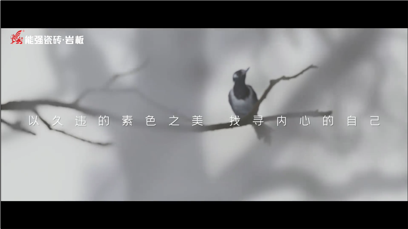 素巖系列 | 以素色之美，找尋內(nèi)心的自己